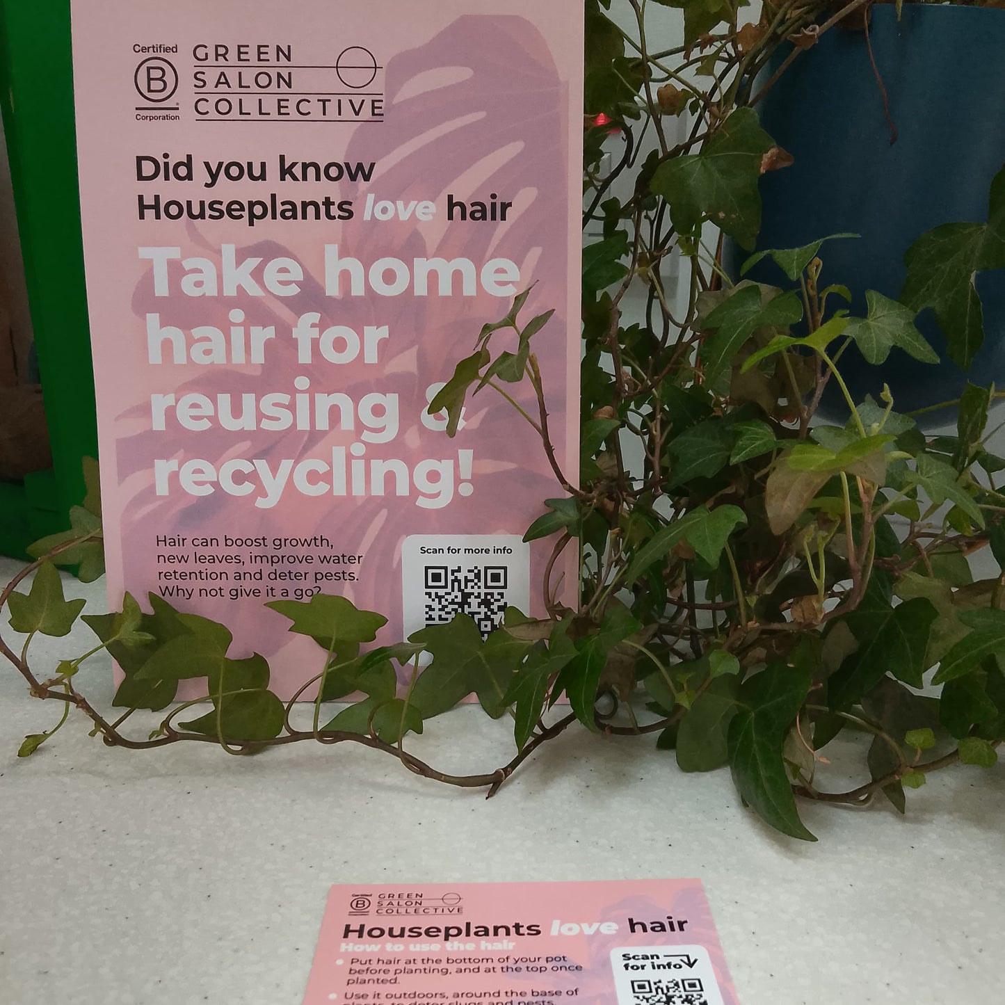 Hairy Houseplants Kit - Give your Clients Hair!