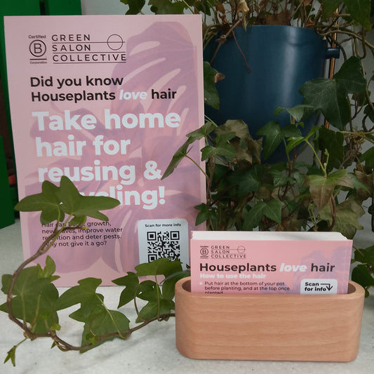 Hairy Houseplants Kit - Give your Clients Hair!