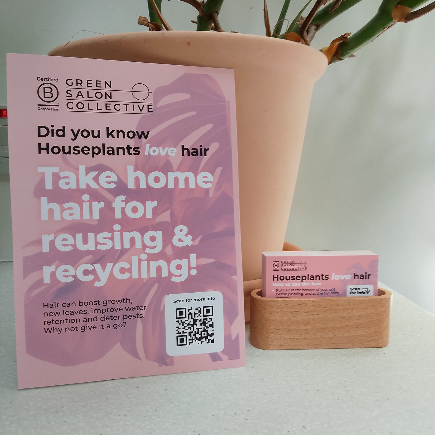 Hairy Houseplants Kit - Give your Clients Hair!