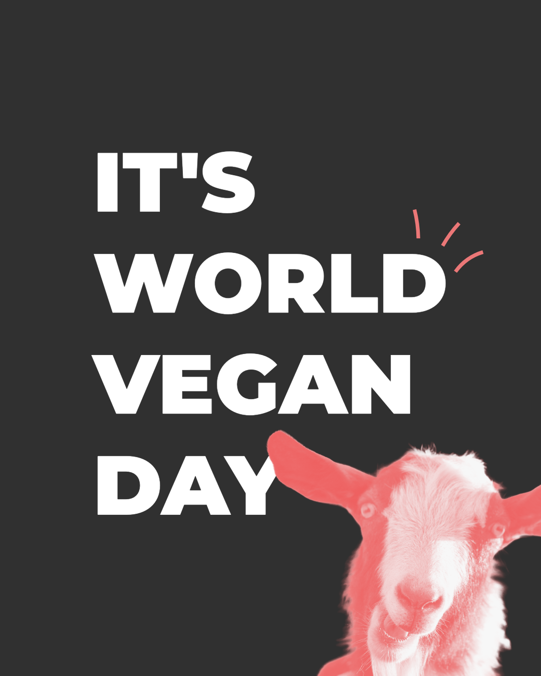 World Vegan Day: Surprising Things in Your Salon That Might Not Be Vegan (and How to Make Easy Swaps)