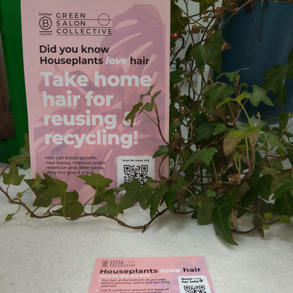 Hairy Houseplants Kit - Give your Clients Hair!