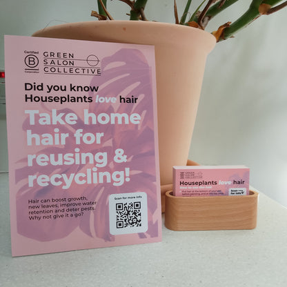 Hairy Houseplants Kit - Give your Clients Hair!